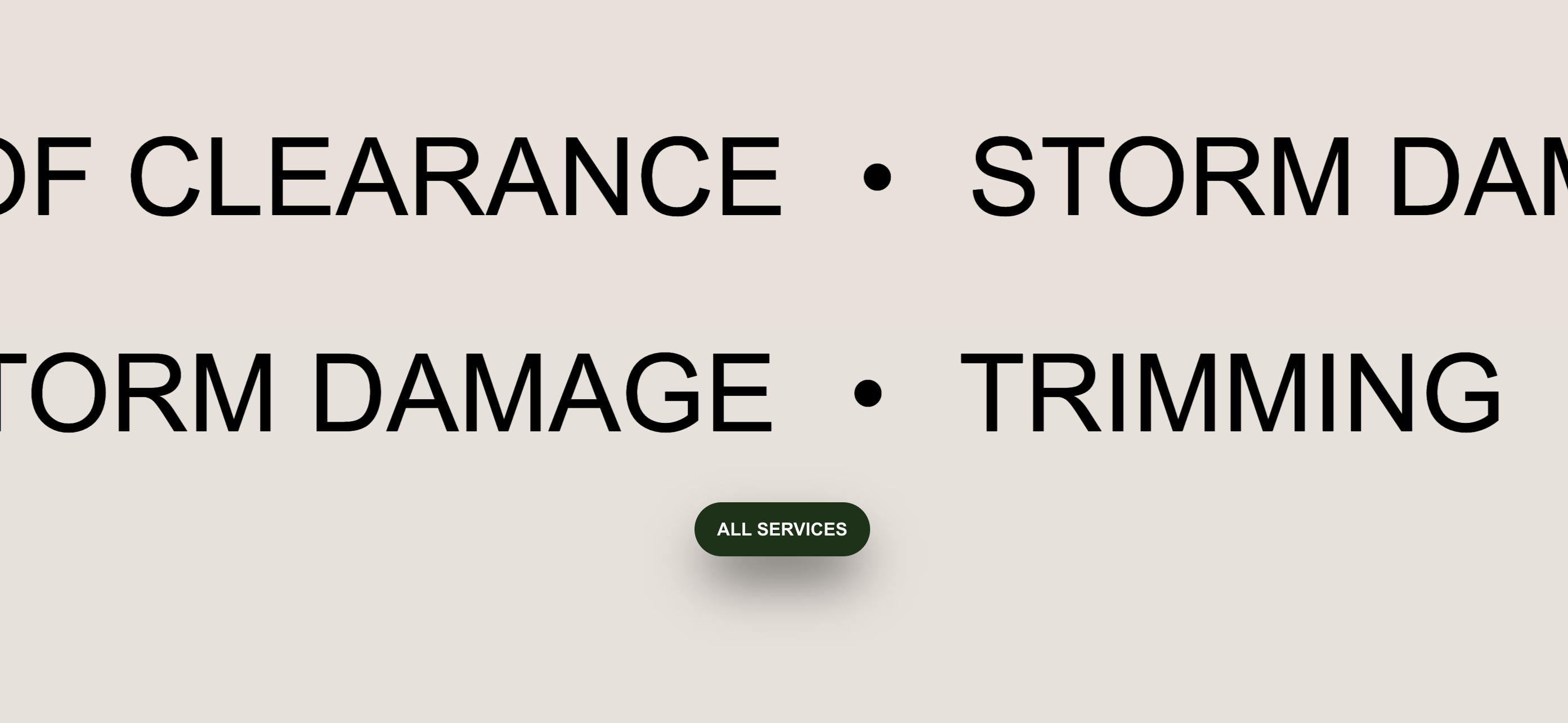 Tree Solutions preview 0